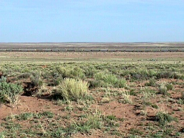 Bolidechaser's 1st Trip to the Holbrook Meteorite Strewn Field